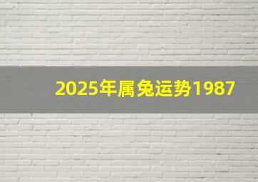 2025年属兔运势1987