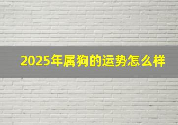 2025年属狗的运势怎么样