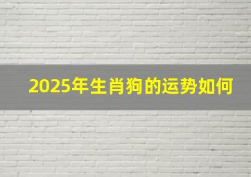 2025年生肖狗的运势如何