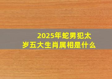 2025年蛇男犯太岁五大生肖属相是什么