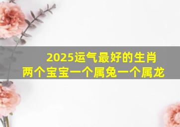 2025运气最好的生肖两个宝宝一个属兔一个属龙