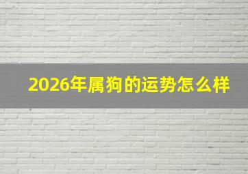 2026年属狗的运势怎么样