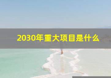 2030年重大项目是什么