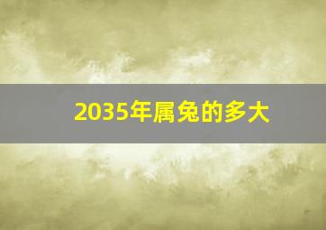 2035年属兔的多大