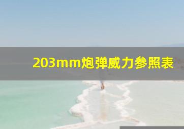 203mm炮弹威力参照表