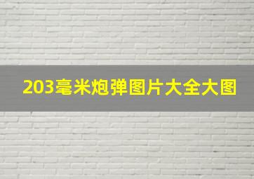 203毫米炮弹图片大全大图