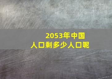 2053年中国人口剩多少人口呢