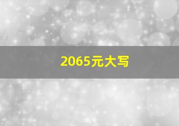 2065元大写