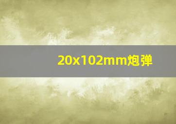 20x102mm炮弹