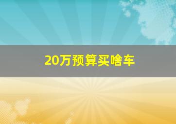 20万预算买啥车