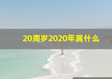 20周岁2020年属什么