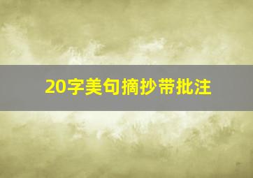 20字美句摘抄带批注