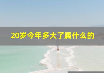 20岁今年多大了属什么的