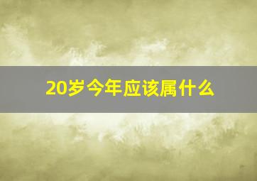 20岁今年应该属什么