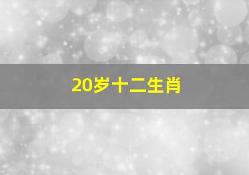 20岁十二生肖