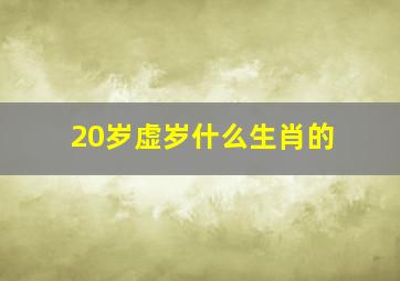 20岁虚岁什么生肖的