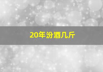 20年汾酒几斤