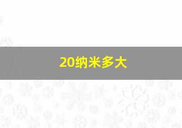 20纳米多大