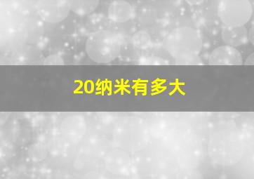 20纳米有多大