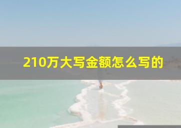 210万大写金额怎么写的