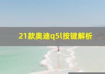 21款奥迪q5l按键解析