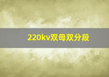 220kv双母双分段