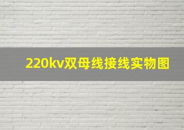 220kv双母线接线实物图