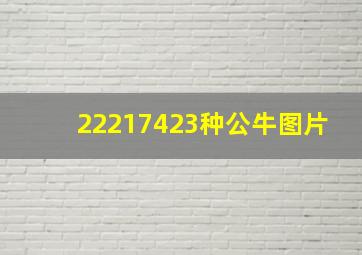 22217423种公牛图片