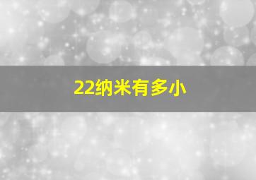 22纳米有多小