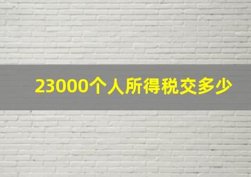 23000个人所得税交多少