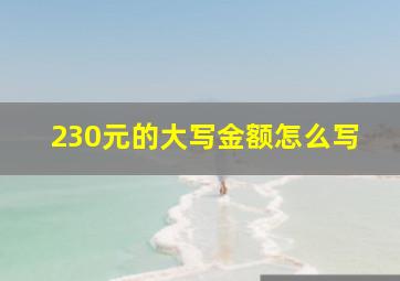 230元的大写金额怎么写