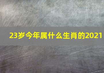 23岁今年属什么生肖的2021