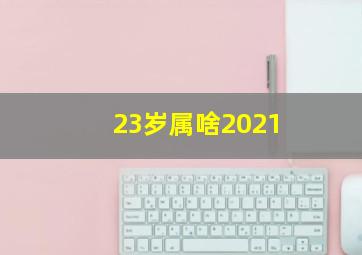 23岁属啥2021