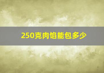 250克肉馅能包多少