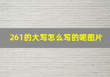 261的大写怎么写的呢图片