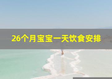 26个月宝宝一天饮食安排