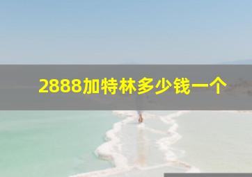 2888加特林多少钱一个