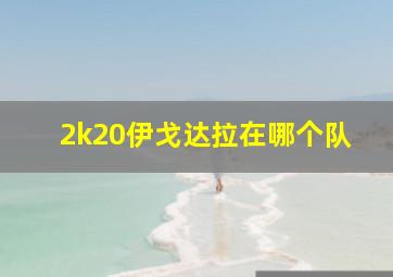 2k20伊戈达拉在哪个队