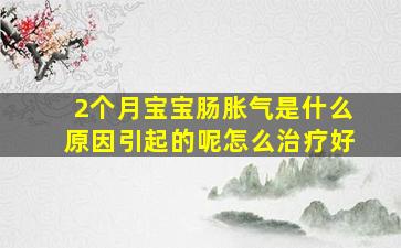 2个月宝宝肠胀气是什么原因引起的呢怎么治疗好