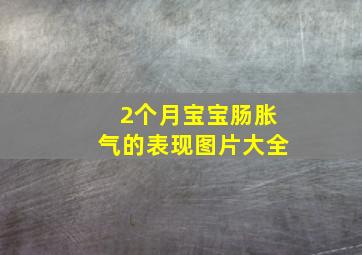 2个月宝宝肠胀气的表现图片大全