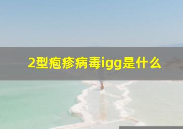 2型疱疹病毒igg是什么