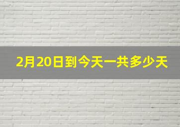 2月20日到今天一共多少天