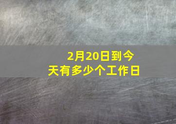 2月20日到今天有多少个工作日