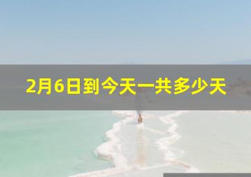 2月6日到今天一共多少天