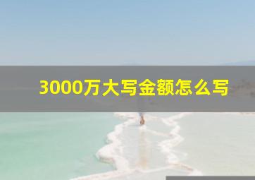 3000万大写金额怎么写