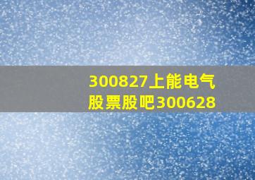 300827上能电气股票股吧300628