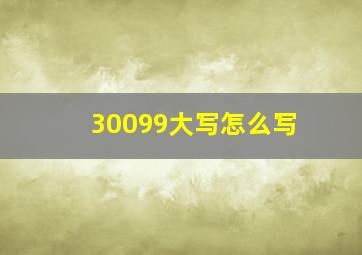 30099大写怎么写