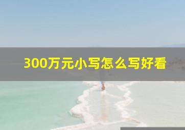 300万元小写怎么写好看