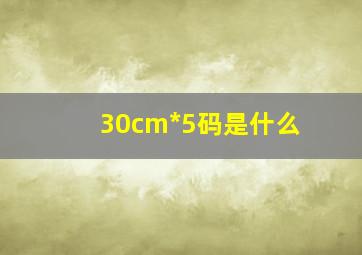 30cm*5码是什么