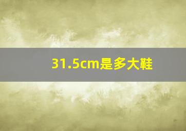 31.5cm是多大鞋